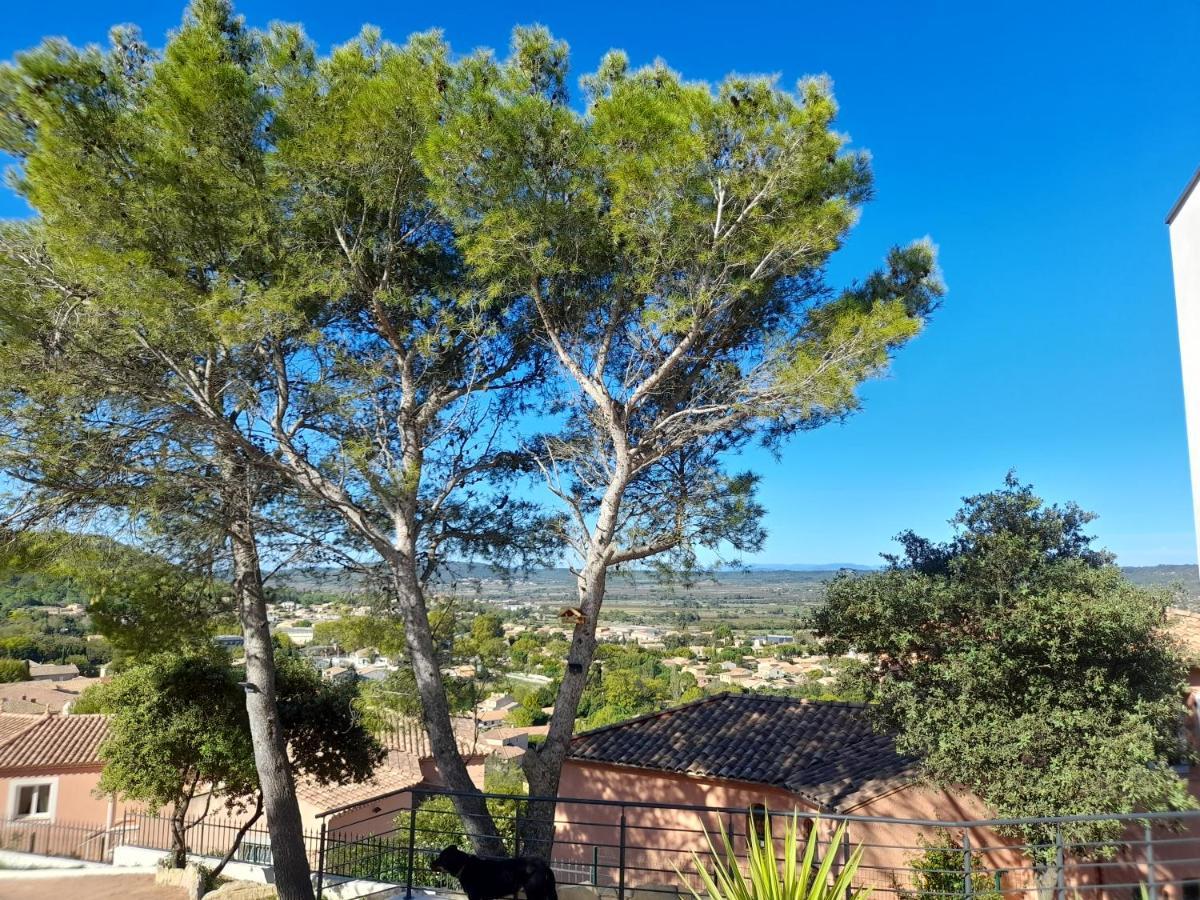 Studio Du Roc Des Garrigues Langlade Eksteriør billede