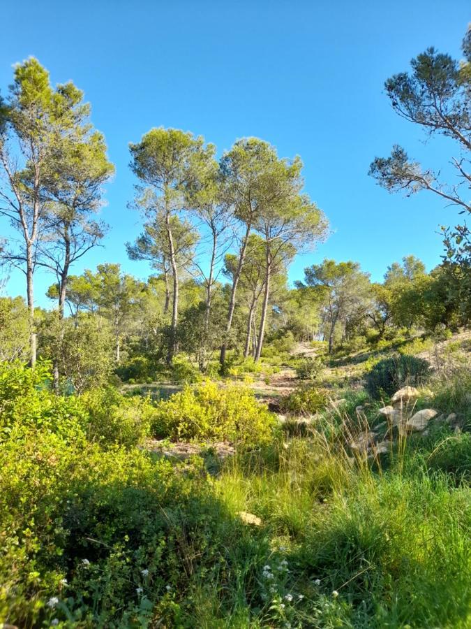 Studio Du Roc Des Garrigues Langlade Eksteriør billede